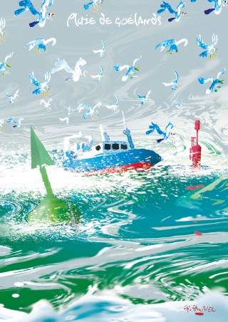 Pluie de Goélands