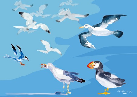 Les Oiseaux