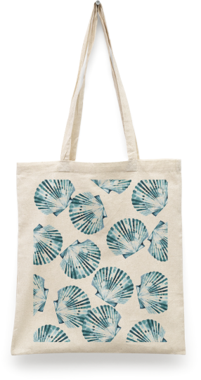 Coquilles bleues