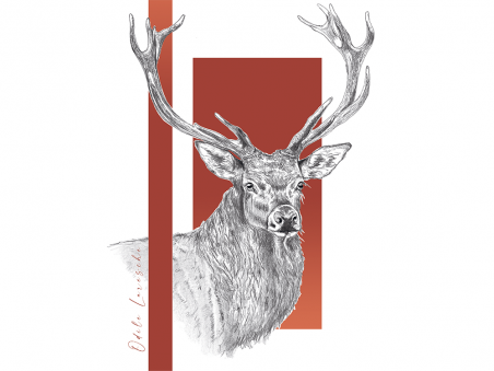 Cerf