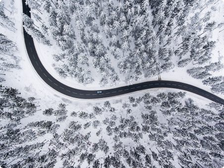 Route et forêt