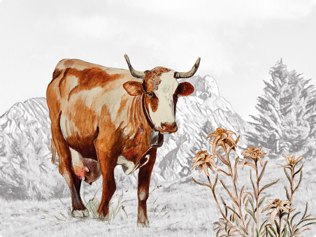 Vache alpine